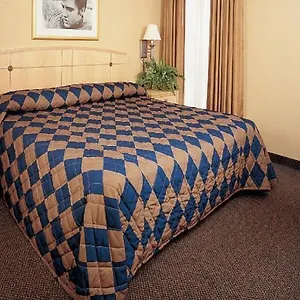http://elvis-presleys-heartbreak-hotel.memphishotelsnow.com